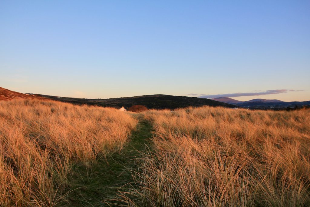 A picture taken at sunset on one of our navigation courses. This shows a path in centre leading through some tall grass with hills in the distance.