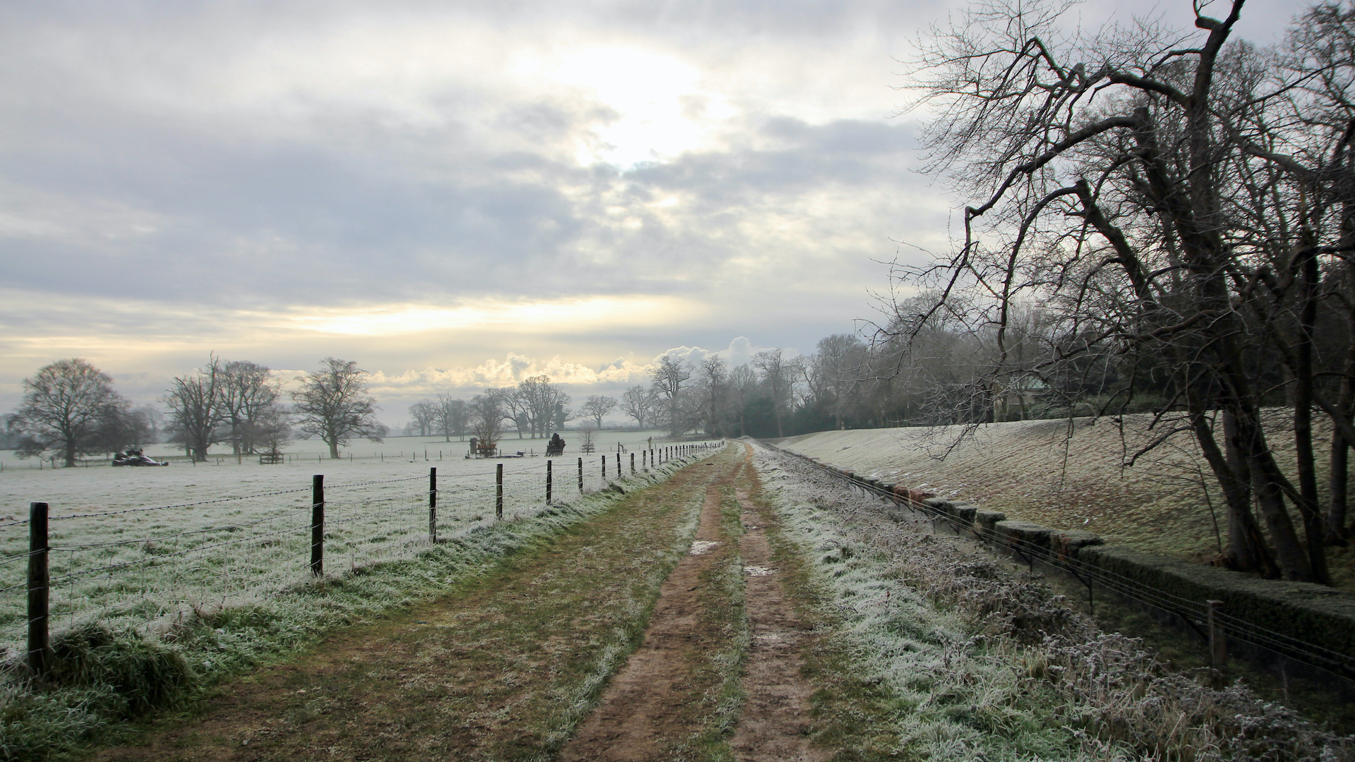A footpath through a frosty field with a fence on one side and a tree on the other