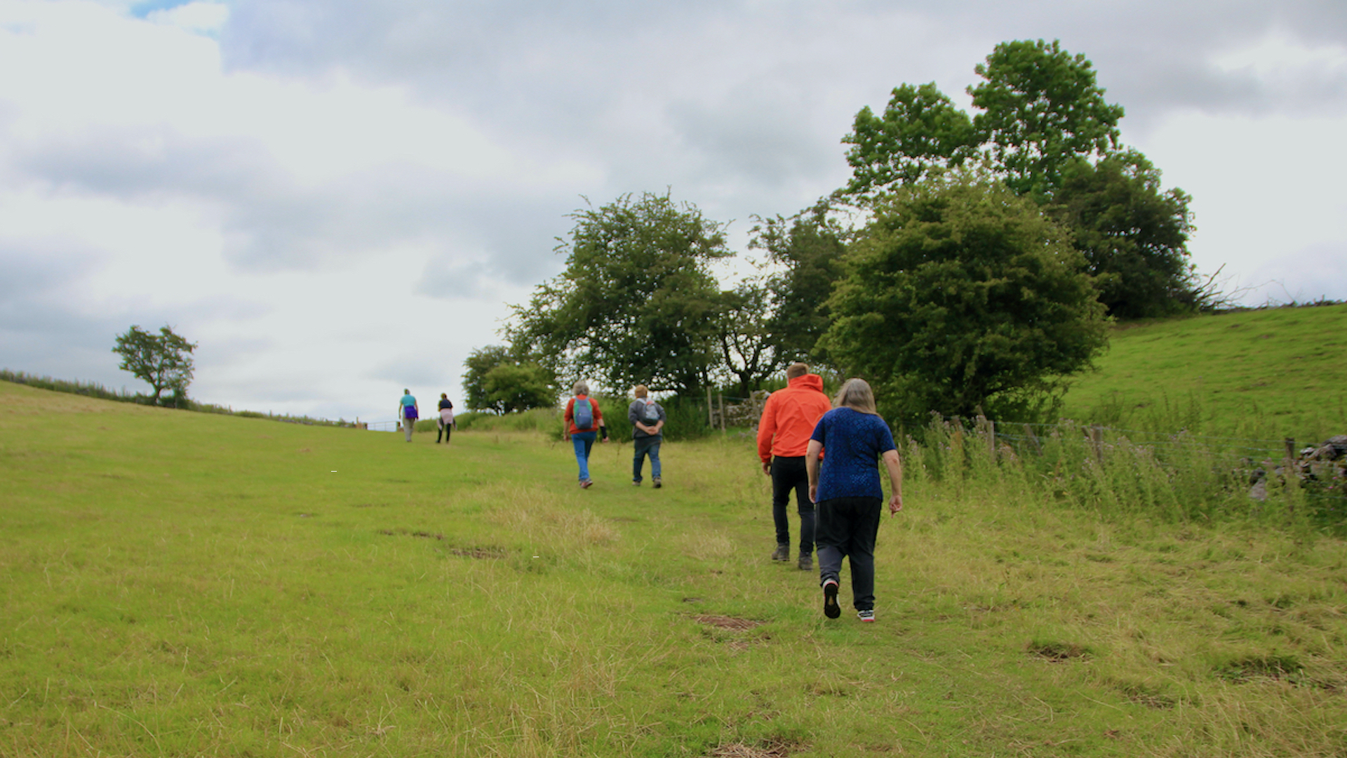 A group walking up a grassy hill